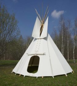 Tipi