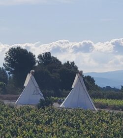 tipis en venta